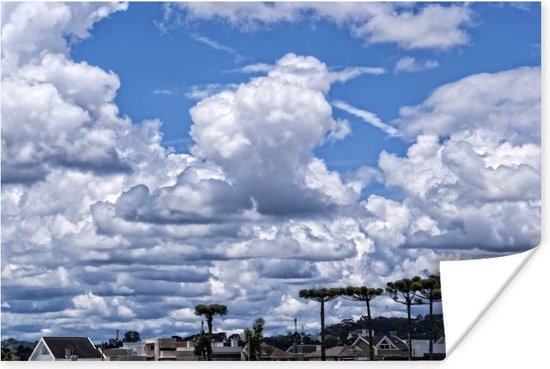 Couverture nuageuse tropicale au-dessus du haut pin parana Poster 90x60 cm  - Tirage... | bol
