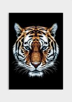 Poster Tiger ² - Dibond - Meerdere Afmetingen & Prijzen | Wanddecoratie - Interieur - Art - Wonen - Schilderij - Kunst