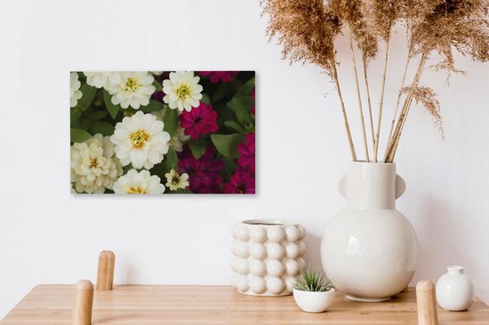 Toile de fleurs de zinnia blanc et violet 30x20 cm - petit - Tirage photo sur toile (décoration murale salon / chambre)