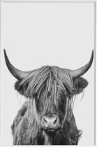 JUNIQE - Poster in kunststof lijst Highland Cow Classic -30x45 /Wit &