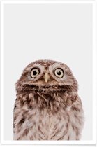 JUNIQE - Poster Owl -20x30 /Bruin
