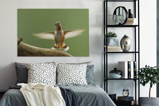 Un colibri calliope sur une branche Toile 140x90 cm - Tirage photo sur toile (Décoration murale salon / chambre)