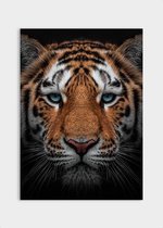 Poster Tiger Close-up - Dibond - Meerdere Afmetingen & Prijzen | Wanddecoratie - Interieur - Art - Wonen - Schilderij - Kunst