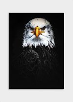Poster Dark Eagle - Dibond - Meerdere Afmetingen & Prijzen | Wanddecoratie - Interieur - Art - Wonen - Schilderij - Kunst