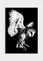 Poster Dark Owl - Plexiglas - Meerdere Afmetingen & Prijzen | Wanddecoratie - Interieur - Art - Wonen - Schilderij - Kunst