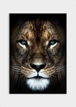 Poster Lion Close-up - Dibond - Meerdere Afmetingen & Prijzen | Wanddecoratie - Interieur - Art - Wonen - Schilderij - Kunst