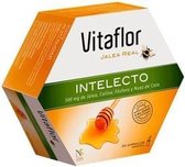 Vitaflor Jalea Real Intelecto 20 Ampules