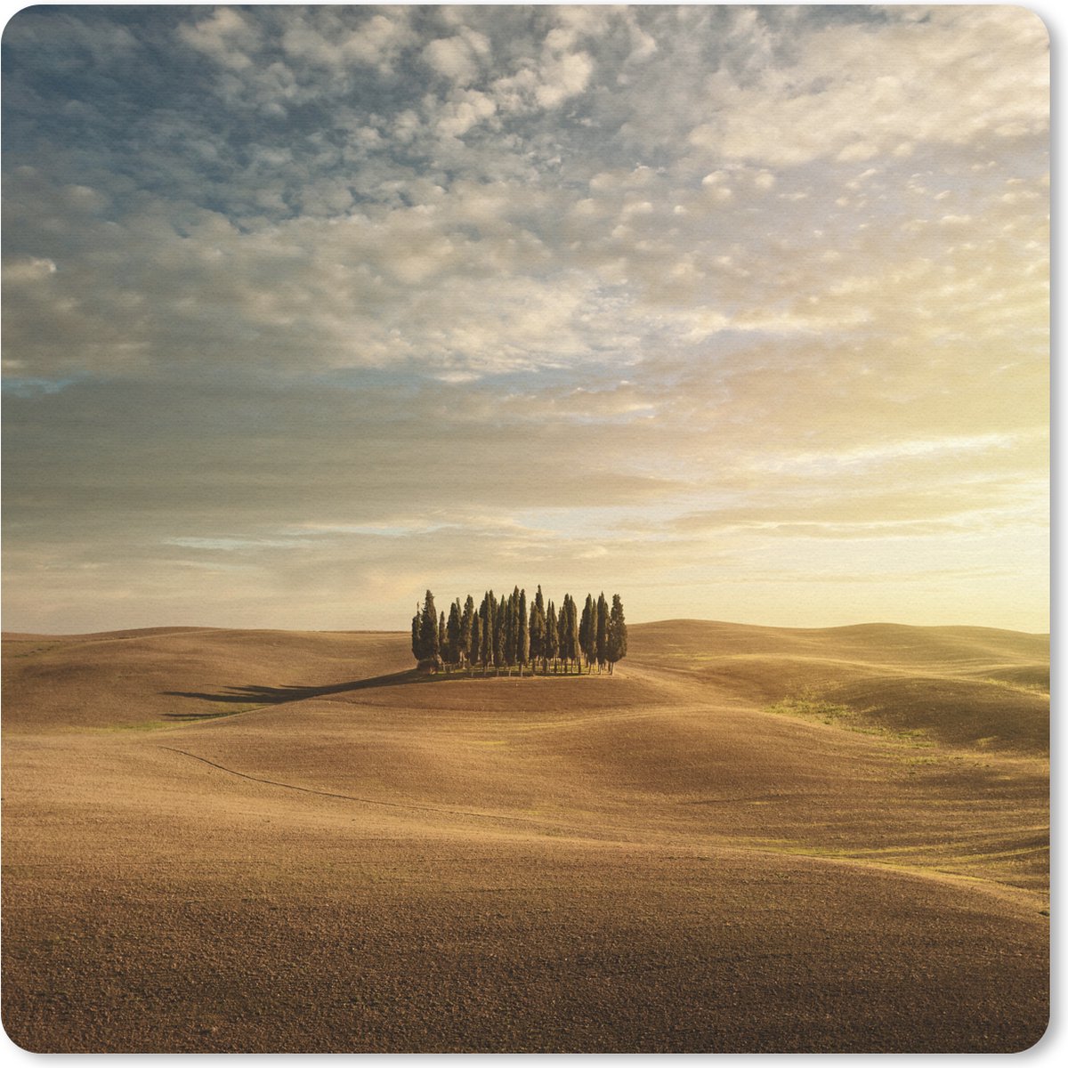 Muismat 20x20 cm - Mousepad Toscane - Bomen - Italië - Muismatten