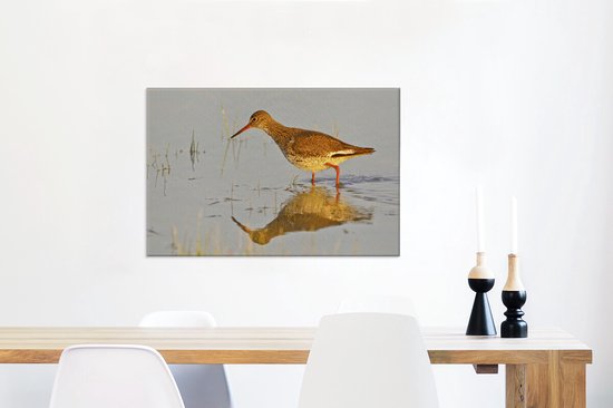 Tureluur in het ondiepe water Canvas 60x40 cm - Foto print op Canvas schilderij (Wanddecoratie woonkamer / slaapkamer)