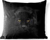 Buitenkussens - Tuin - Portret van een luipaard op een zwarte achtergrond - 60x60 cm