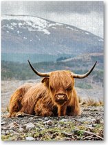 Schotse Hooglander - 1000 Stukjes puzzel voor volwassenen - Besteposter - Dieren - Natuur