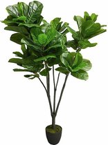 By Kohler Kunstplant ficus Iyrata 165x50x50cm (111834)