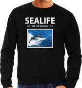 Dieren foto sweater Dolfijn - zwart - heren - sealife of the world - cadeau trui Dolfijnen liefhebber L