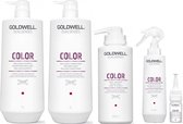 Goldwell DS color brilliance care pakket XL