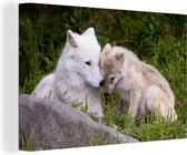 Mère loup et son chiot se blottissent ensemble 120x80 cm - Tirage photo sur toile peinture (Décoration murale salon / chambre) / animaux sauvages Peintures sur toile
