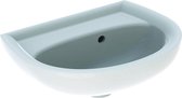 Geberit Renova Fontein Zonder Kraangat Met Overloop 450x340mm Wit