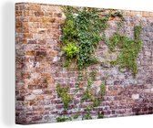 Canvas Schilderij Klimplanten op een oude muur met bakstenen - 90x60 cm - Wanddecoratie