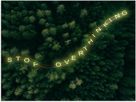 Poster – ''Stop Overthinkinh'' over Bomen van Bos - 40x30cm Foto op Posterpapier