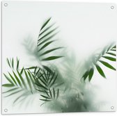 Tuinposter – Groene Takken tegen Mistig Raam - 80x80cm Foto op Tuinposter  (wanddecoratie voor buiten en binnen)