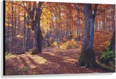 Canvas  - Bomen in Bos in de Herfst - 120x80cm Foto op Canvas Schilderij (Wanddecoratie op Canvas)