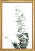 JUNIQE - Poster met houten lijst Eucalyptus foto -20x30 /Groen & Wit