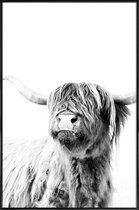 JUNIQE - Poster met kunststof lijst Highland Cattle Frida 2 -13x18