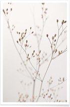 JUNIQE - Poster Wild Flower Natural Beige 1 -60x90 /Ivoor