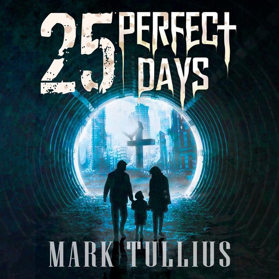 25 Perfect Days - cover
