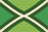 Vlag Achterhoek polyester - 150 x 90 cm - Met messing ringen - Achterhoekse vlaggen - Gelderland