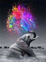 Diamond Painting olifant - Diamond painting - Diamond painting dieren - 20 x 30 - Diamond painting volwassenen - Diamond painting pakket volledig - Kleurrijk