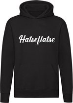 Hatseflatse Hoodie | Massa is kassa | hatseflatsen | Peter Gillis | sweater | trui | unisex | capuchon