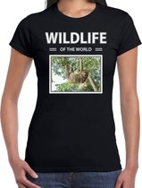 Dieren foto t-shirt Luiaard - zwart - dames - wildlife of the world - cadeau shirt luiaarden liefhebber L