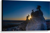 Canvas  - Silhouet van Vogels op Rots op het Strand - 90x60cm Foto op Canvas Schilderij (Wanddecoratie op Canvas)