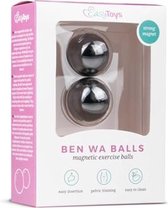 Easytoys Ben Wa Ballen 25 mm - Zwart - Zilver - Sextoys - Vagina Toys - Toys voor dames - Geisha Balls