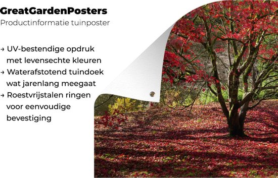 Poster Jardin d'érable à l'automne 120x80 cm - Toile de jardin / Toile d'extérieur / Peintures d'extérieur (décoration de jardin)