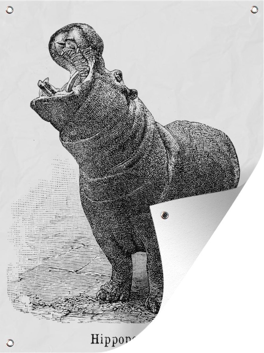 Amoy-Art Figuur Decoratie Nijlpaard Dier Sculpture Standbeeld Hippo Modern Kunst Voor Huis Cedeau Giftbox Resin 18cmL