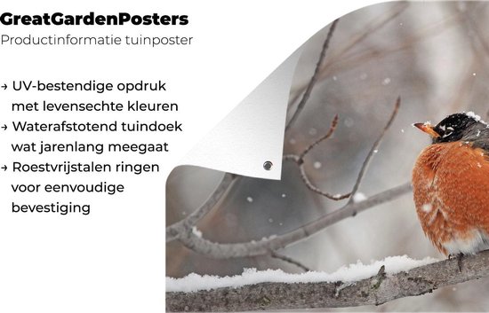 Affiche de jardin Robin sur une branche enneigée 180x120 cm - Toile de jardin / Toile d'extérieur / Peintures d'extérieur (décoration de jardin) XXL / Groot format!