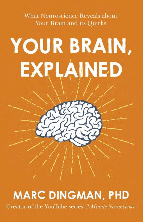 Your Brain, Explained - cover