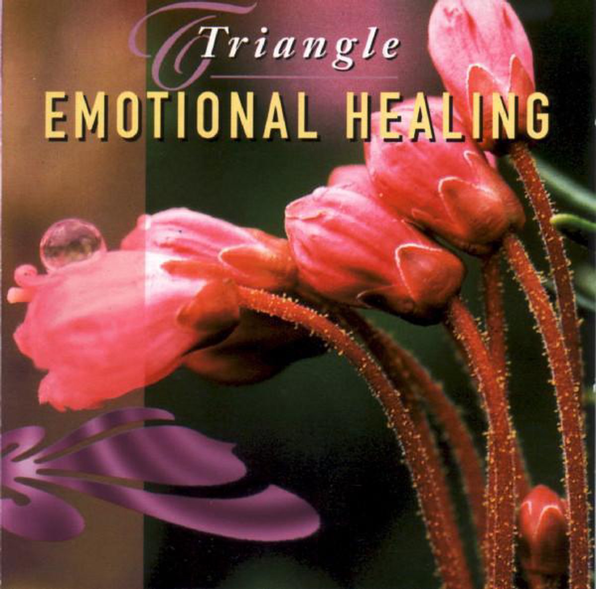Triangle emotional healing