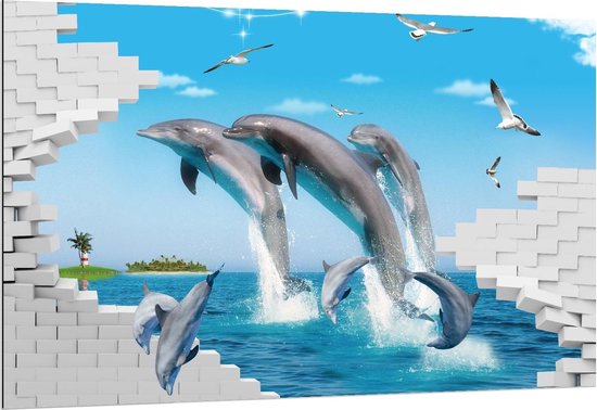 Dibond - Springende Dolfijnen tussen Meeuwen - 150x100cm Foto op Aluminium (Wanddecoratie van metaal)