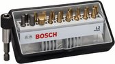 Bosch - 18+1-delige Robust Line bitset L Max Grip 25 mm, 18+1-delig