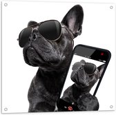 Tuinposter – Zwarte Bulldog trots op zijn Selfie - 80x80cm Foto op Tuinposter  (wanddecoratie voor buiten en binnen)