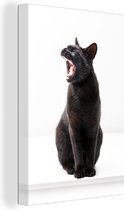 Toile de chat noir béant 2cm 40x60 cm - Tirage photo sur toile (Décoration murale salon / chambre) / Peintures sur toile pour Animaux domestiques