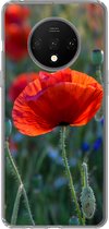 Geschikt voor OnePlus 7T hoesje - Kleurrijke Klaprozen in Nederland - Siliconen Telefoonhoesje