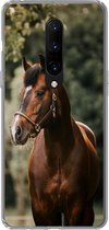 Geschikt voor OnePlus 7 Pro hoesje - Paard - Takken - Portret - Siliconen Telefoonhoesje