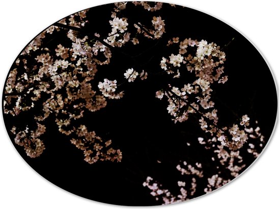 WallClassics - Dibond Ovaal - Wit met Roze Bloementjes met Zwarte Achtergrond - 40x30 cm Foto op Ovaal (Met Ophangsysteem)