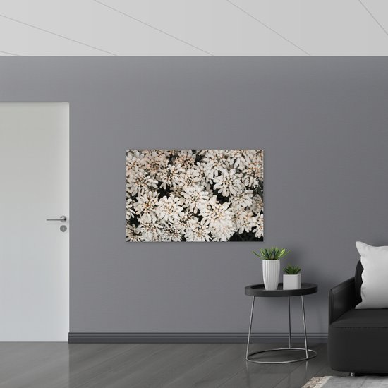 WallClassics - Drapeau - Buisson à fleurs Witte - Photo sur drapeau polyester 120 x 80 cm