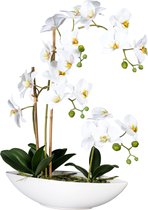 Kopu® Kunstbloem Orchidee 60 cm Wit met Schaal Ovaal - Phalenopsis