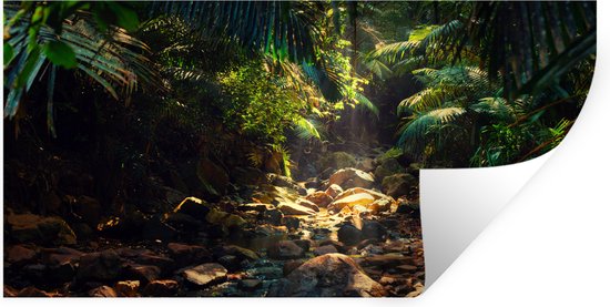 Stickers muraux - Film autocollant - Jungle - Soleil - Inde - Garçons - Filles - Enfants - 160x80 cm - Film adhésif - Stickers muraux Chambre d'enfant - Papier peint autocollant - Papier peint autocollant - Film autocollant