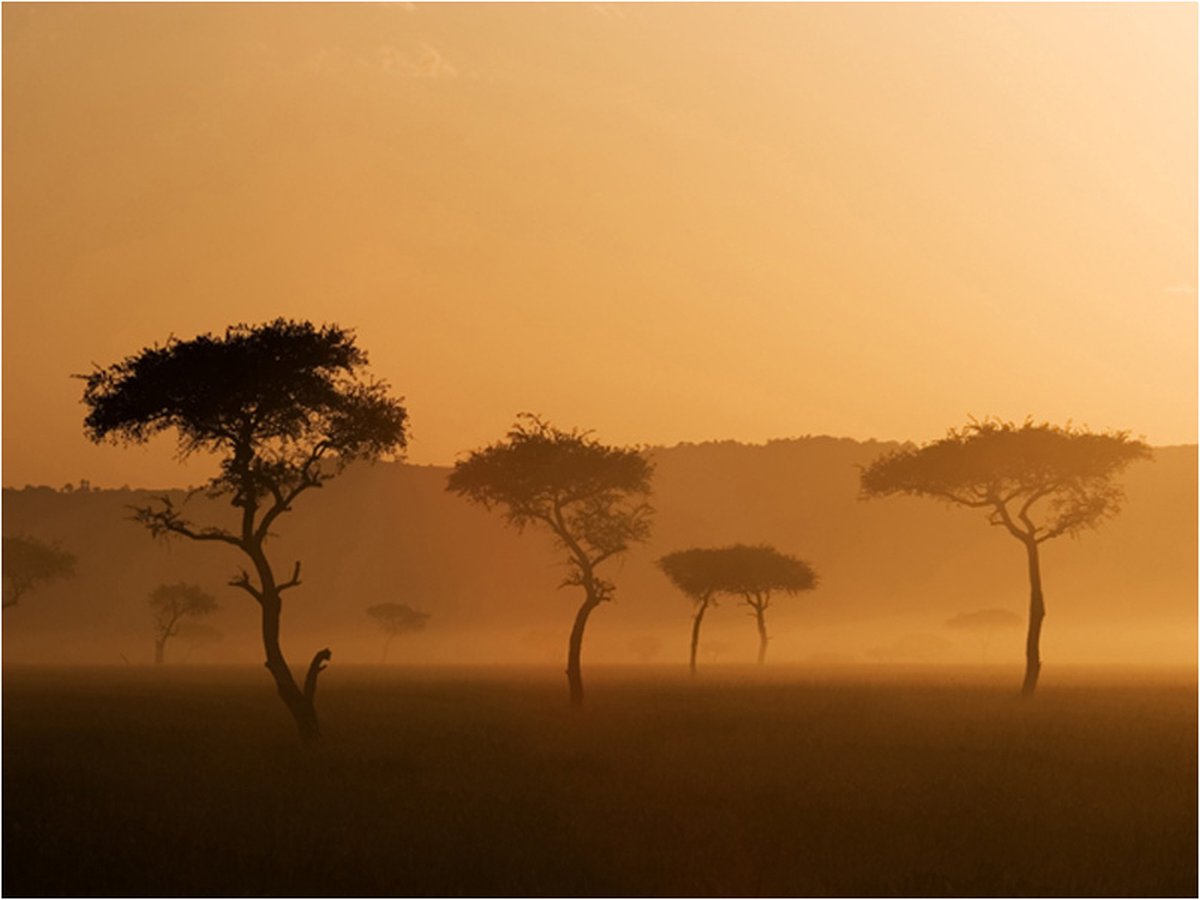 Fotobehang - Massai Mara.